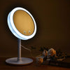 LED MAKEUP MIRROR WITH FAN